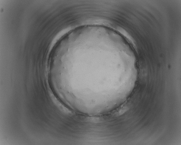 X0000081271088200702012147