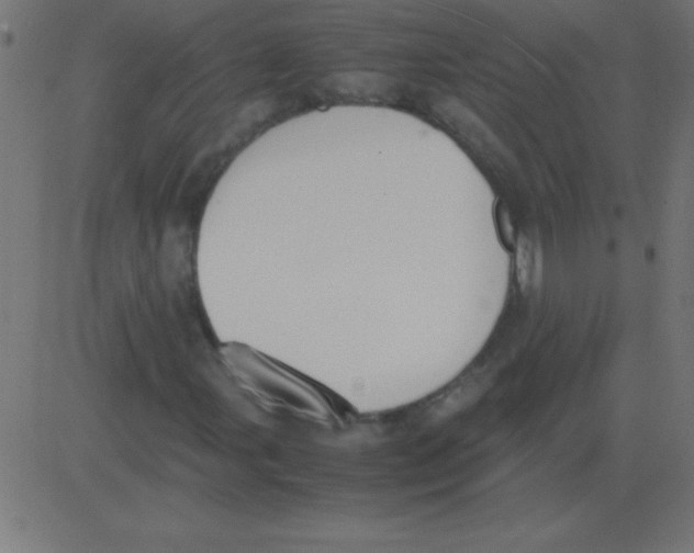 X0000081271107200702012146