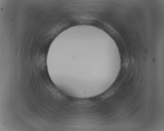 X0000081271108200702012146