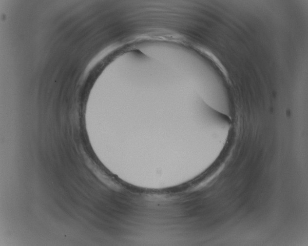 X0000081271114200702012146