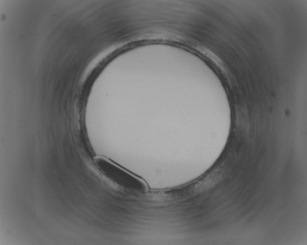 X0000081271120200702012147