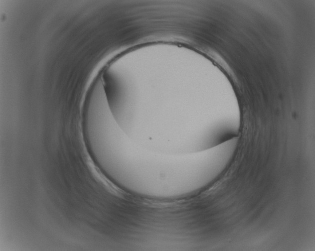 X0000081271132200702012147