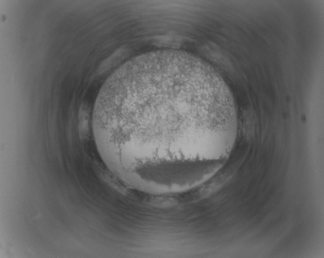 X0000081271154200702012146