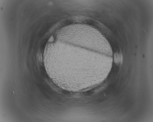 X0000081271155200702012146