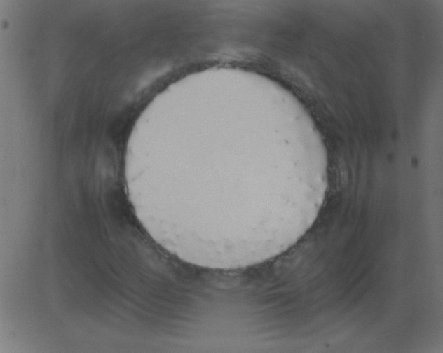 X0000081271158200702012146