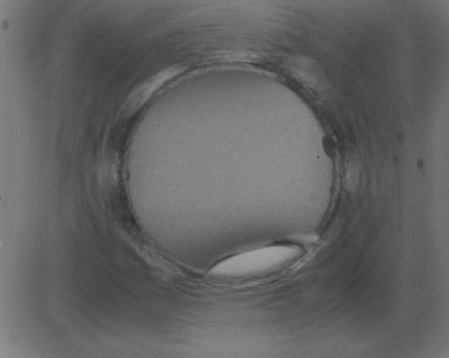 X0000081271161200702012146