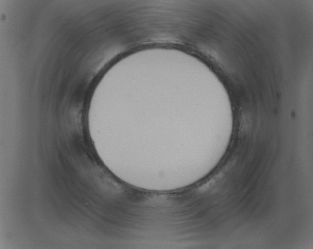 X0000081271162200702012146