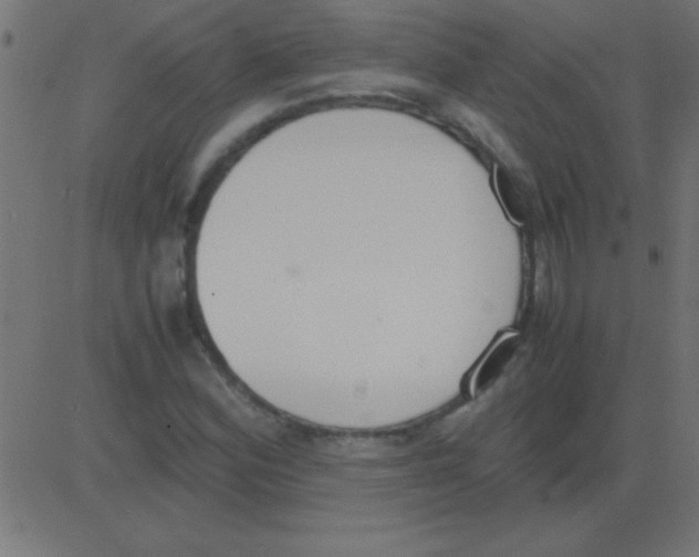 X0000081271164200702012146