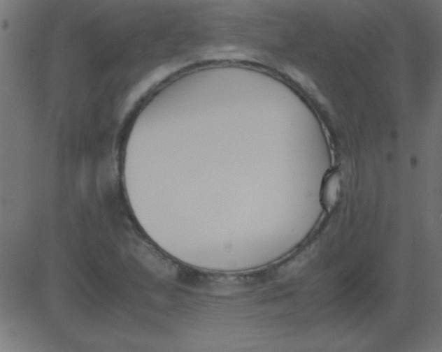 X0000081271167200702012146