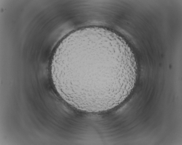 X0000081271170200702012146