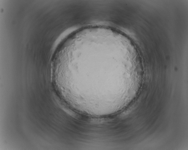 X0000081271223200702012145