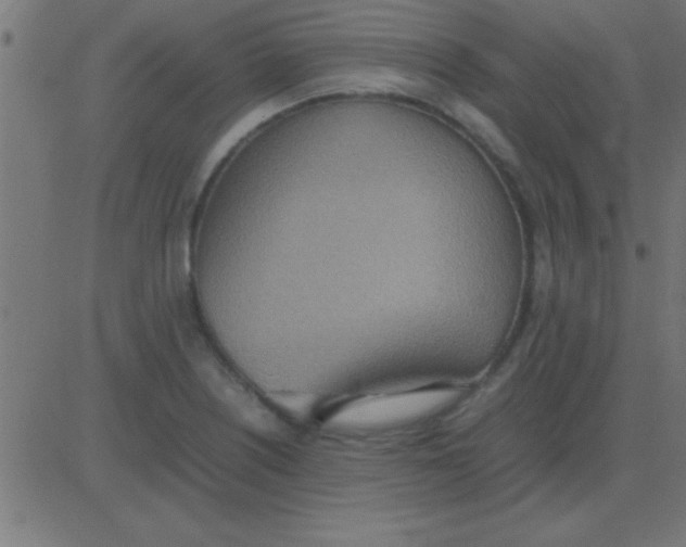 X0000081271226200702012145