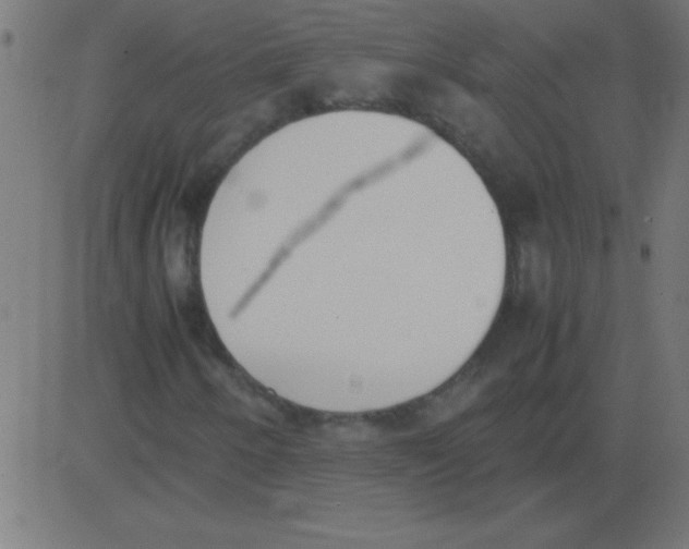 X0000081271250200702012145