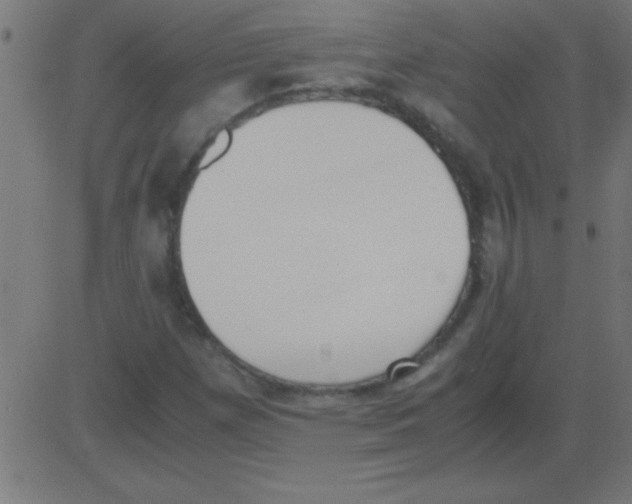 X0000081271257200702012145