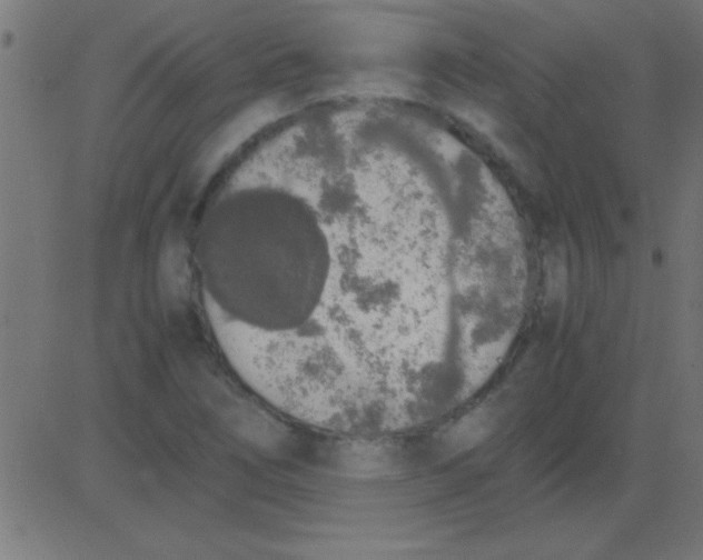X0000081271266200702012144