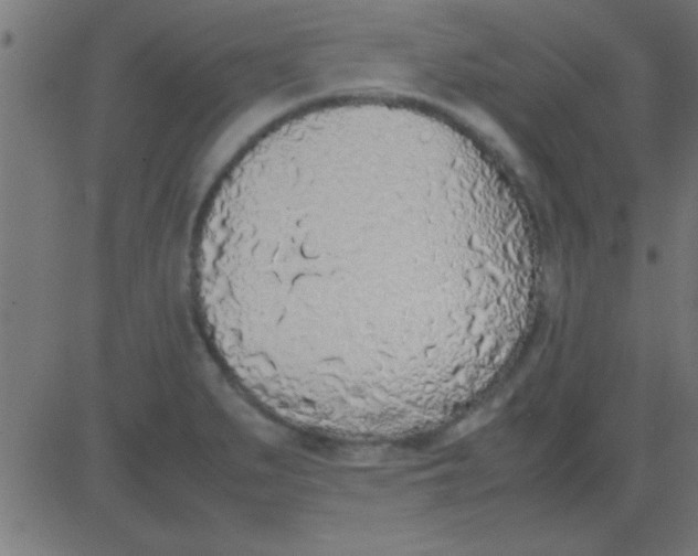 X0000081271279200702012144