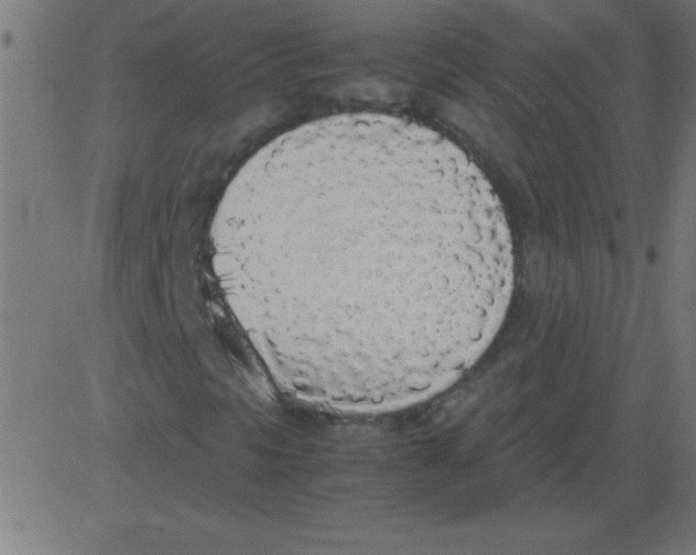 X0000081271297200702012143