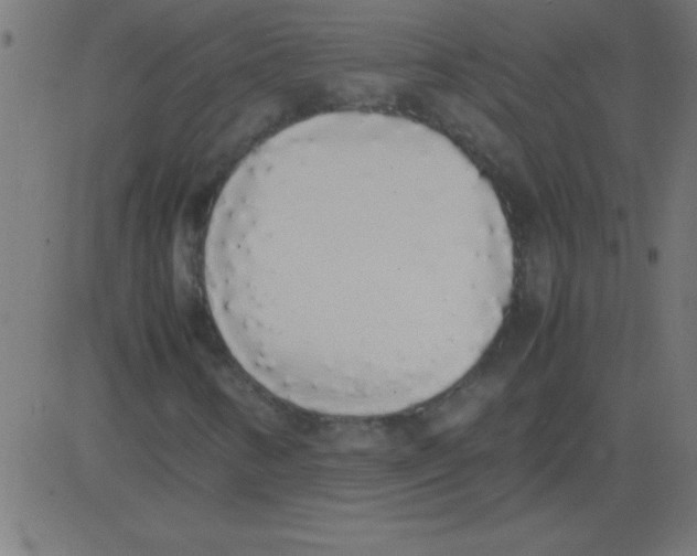 X0000081271346200702012143