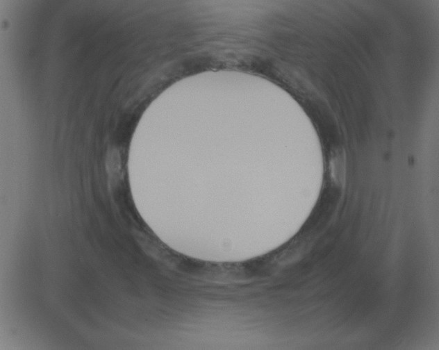 X0000081271347200702012143