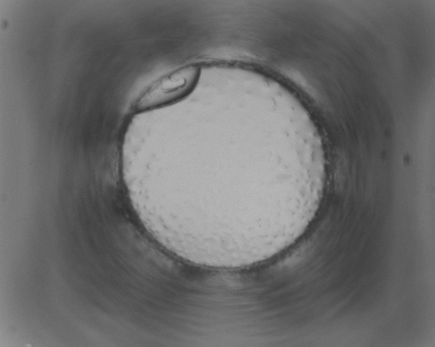 X0000081271358200702012143