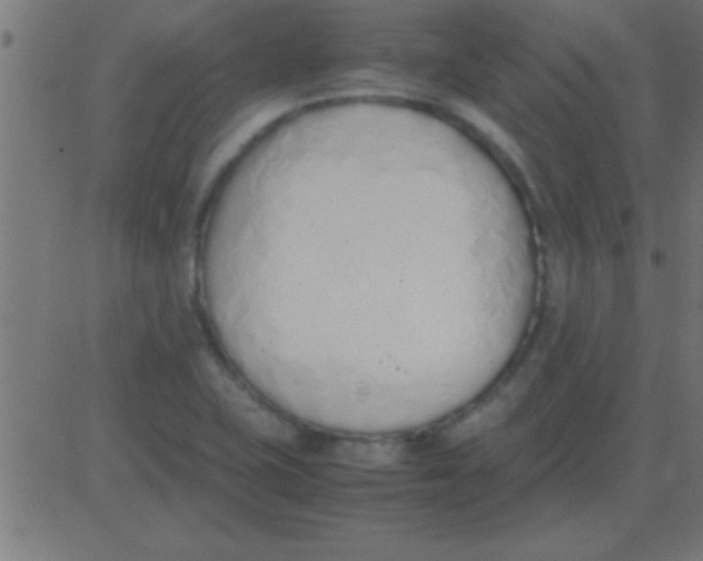 X0000081271415200702012142