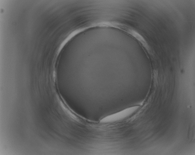X0000081271428200702012142