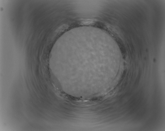 X0000081271441200702012142