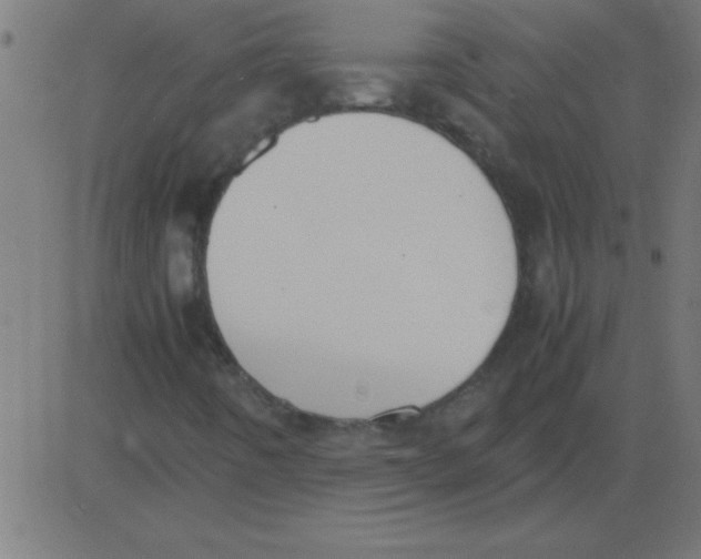 X0000081271442200702012142