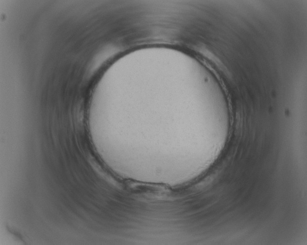 X0000081271450200702012141