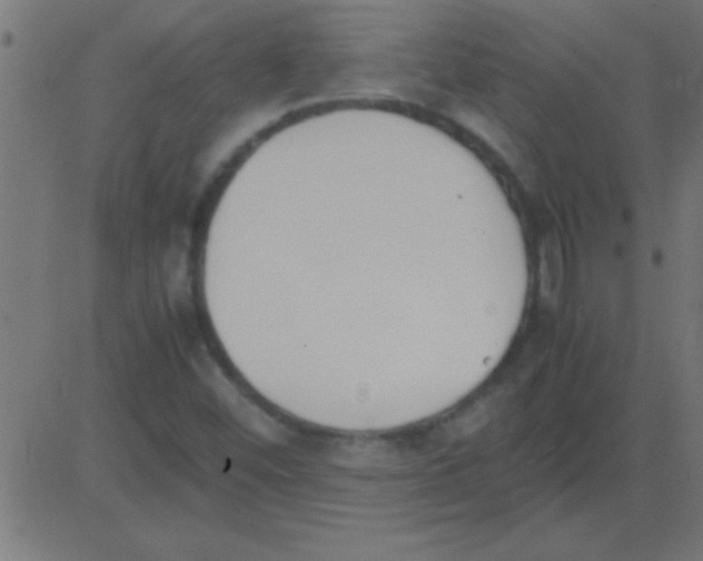 X0000081271452200702012141