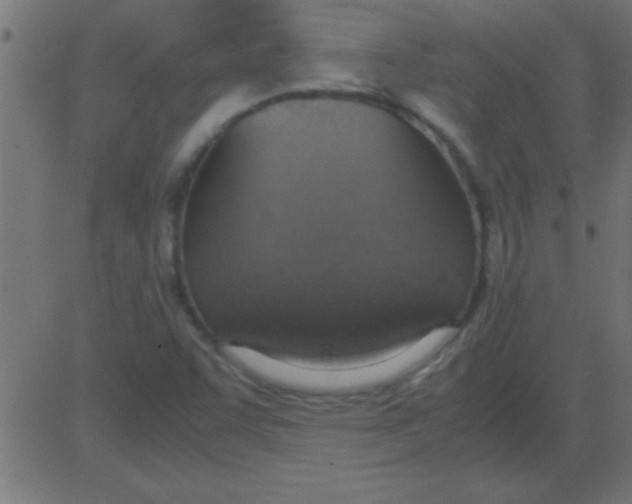 X0000081271455200702012141