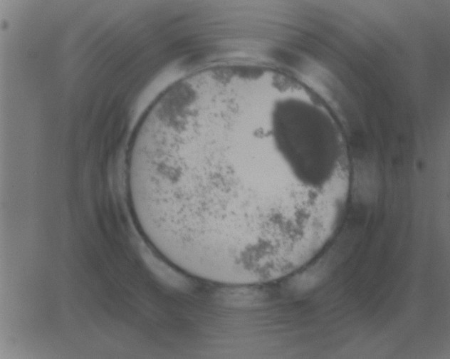 X0000081271474200702012141