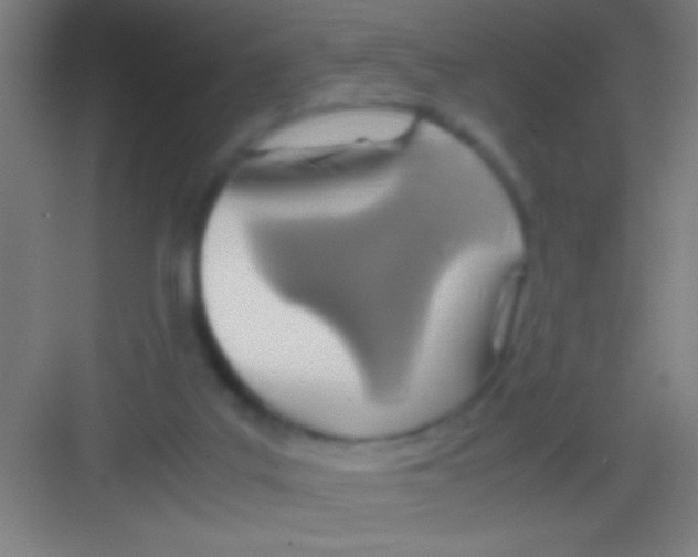 X0000081270019200702081938