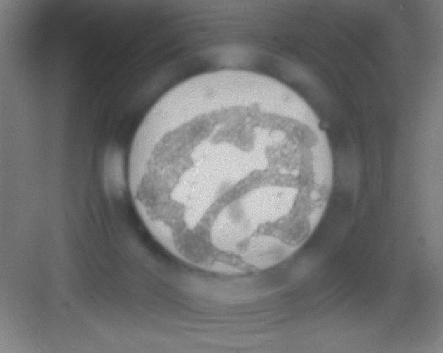 X0000081270028200702081938