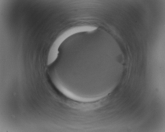 X0000081270031200702081938