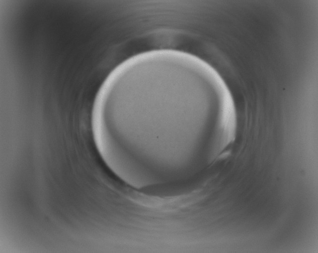 X0000081270035200702081938
