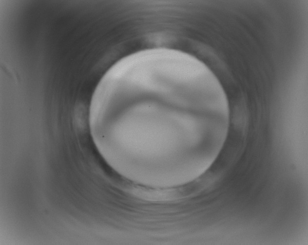 X0000081270036200702081938