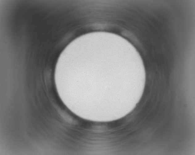 X0000081270066200702081937