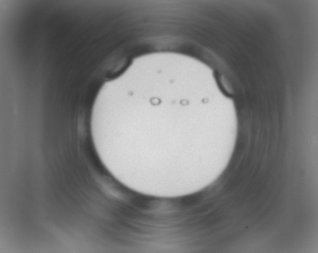 X0000081270074200702081938