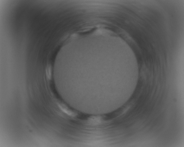 X0000081270076200702081938