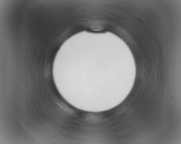 X0000081270077200702081938