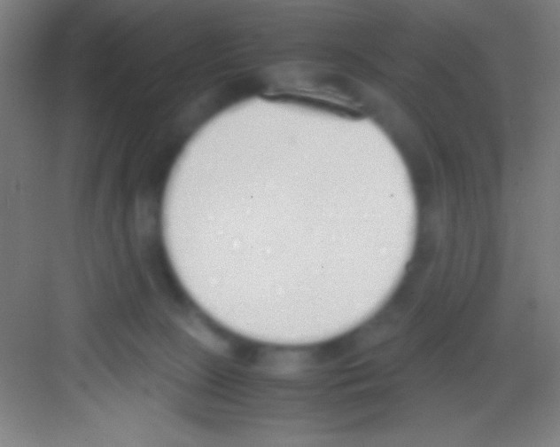 X0000081270081200702081938