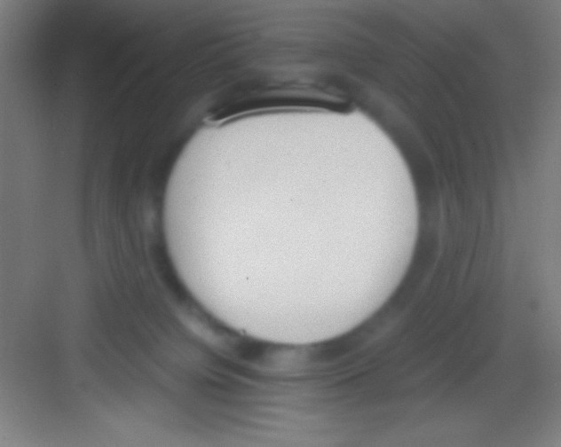 X0000081270084200702081938