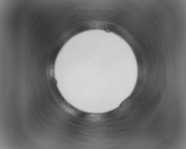 X0000081270095200702081938