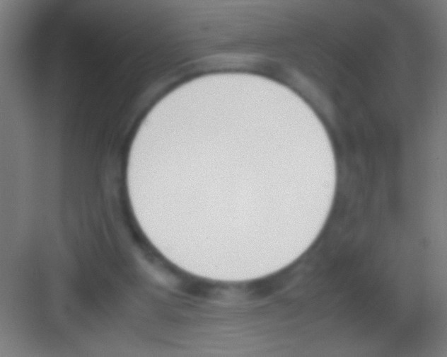 X0000081270107200702081937