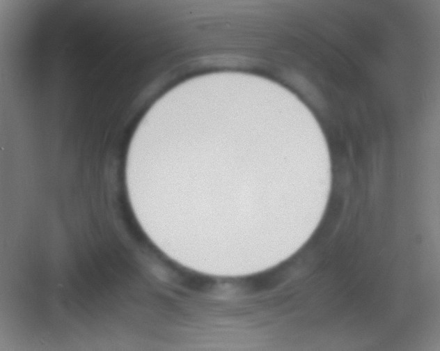 X0000081270111200702081937