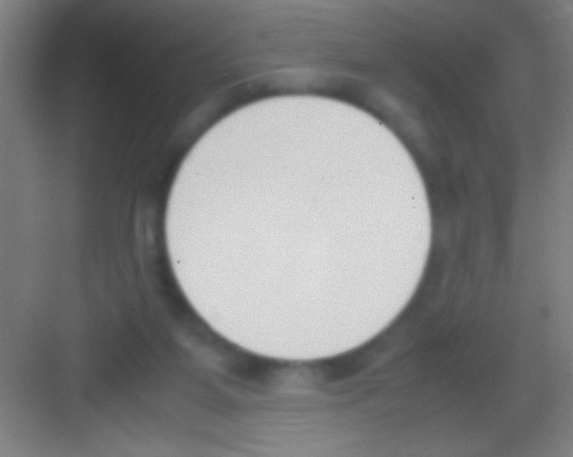 X0000081270115200702081937