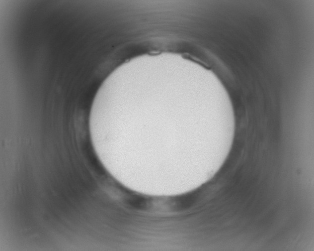 X0000081270121200702081937