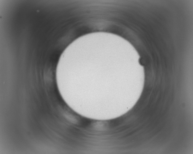 X0000081270126200702081937