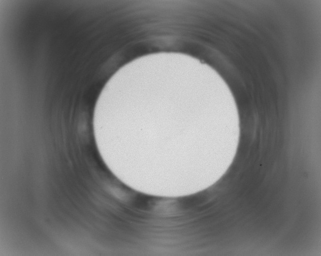 X0000081270132200702081937